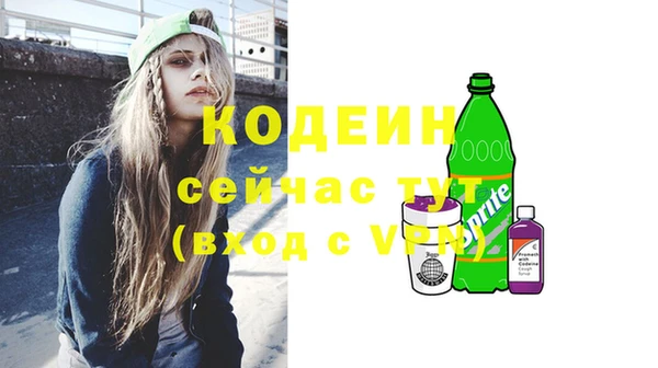 стаф Бородино