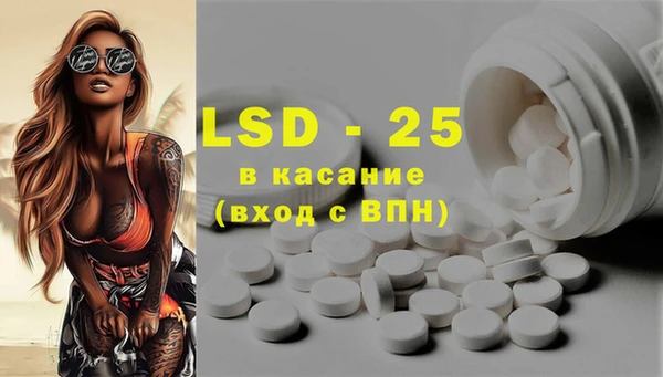 стаф Бородино