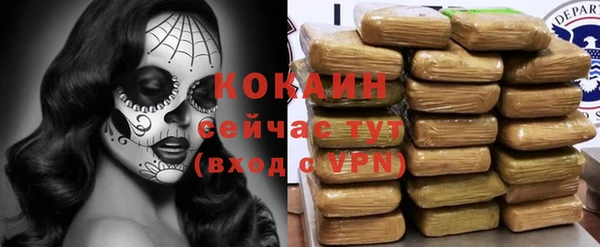 стаф Бородино