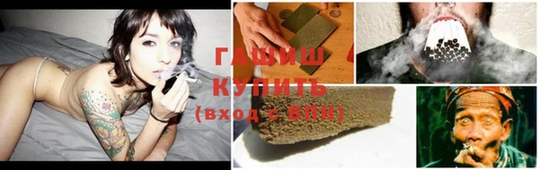 стаф Бородино