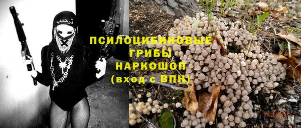 ешки Бронницы