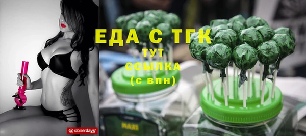 стаф Бородино