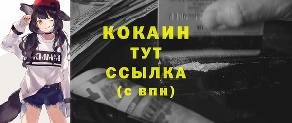 стаф Бородино