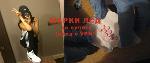 стаф Бородино