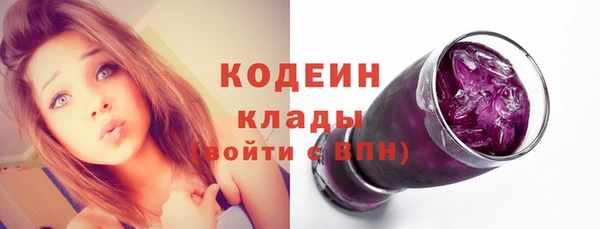 стаф Бородино