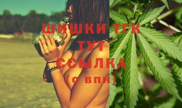 стаф Бородино