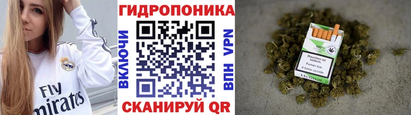Купить закладки  Котельниково  МАРИХУАНА план 
